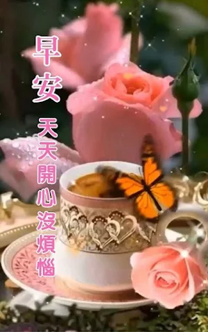 早上贺卡 Screenshot 0