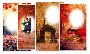 Autumn Photo Live Wallpaper Screenshot 3