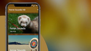 Ferret Sounds Screenshot 2