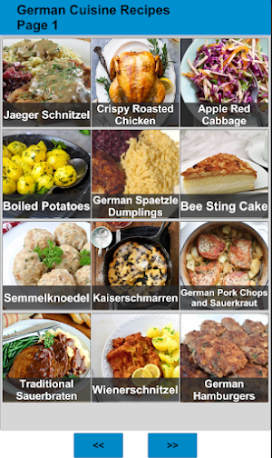 100 German Food Recipes Screenshot 0