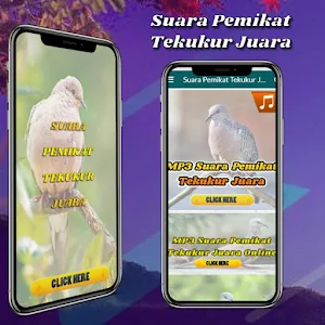 Suara Pemikat Tekukur Juara Screenshot 0