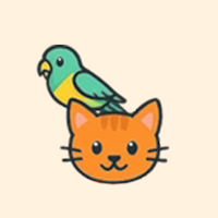 Critters Collective