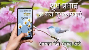 Good Morning Everyday Greetings in Hindi Screenshot 0