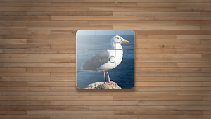 Bird Puzzle Games Screenshot 0