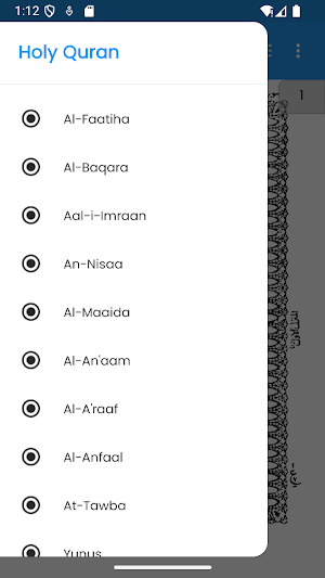 Hafizi Quran 16 Lines Mushaf Screenshot 3