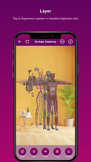 Human Anatomy Screenshot 2