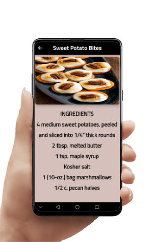 Appetizers recipes Screenshot 1