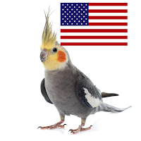 Anthem U.S Cockatiel