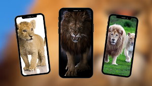 Lion Wallpapers Screenshot 2