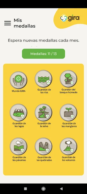 GIRA Screenshot 3