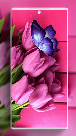 Tulip Wallpaper Screenshot 3