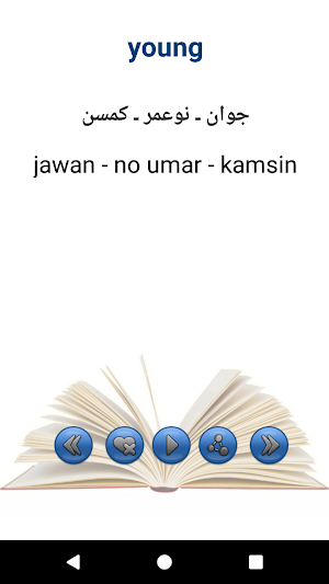 English to Urdu Dictionary Offline - Free Screenshot 2