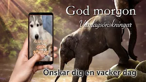 Swedish Good Morning Everyday Screenshot 1