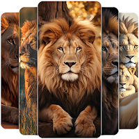 Lion Wallpapers