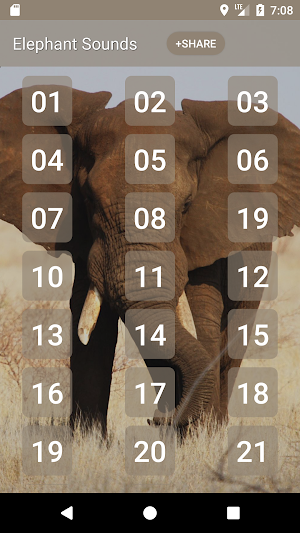 Elephant Sounds Screenshot 0