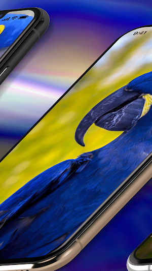 Macaw Parrot Wallpaper Screenshot 2