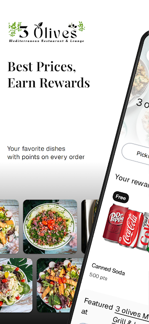 3 Olives Mediterranean Grill Screenshot 0