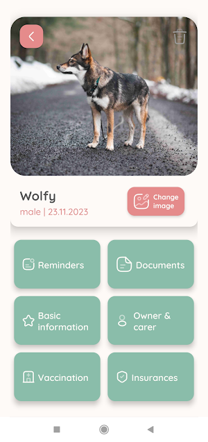 Mepetko Screenshot 2