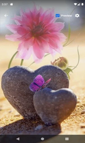 Stony Hearts Flower LWP Screenshot 1
