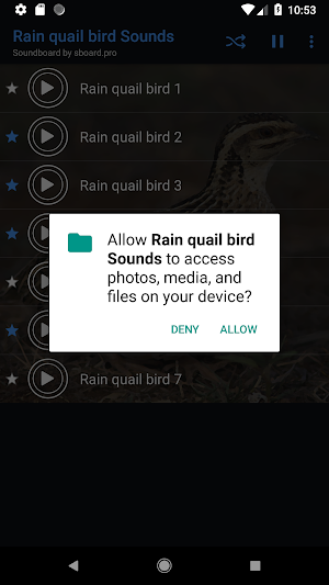 Rain quail bird Sounds ~ Sboard.pro Screenshot 1