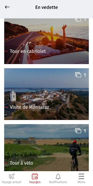 FAME Travel Designers Screenshot 2