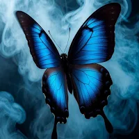 Butterfly Wallpaper