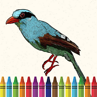 Colorful Birds Coloring Book