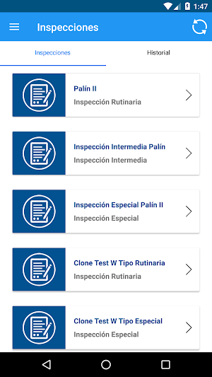 EGEE Inspecciones Screenshot 3
