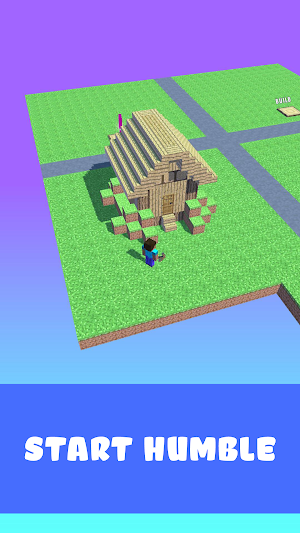 Block Craft Run Screenshot 3