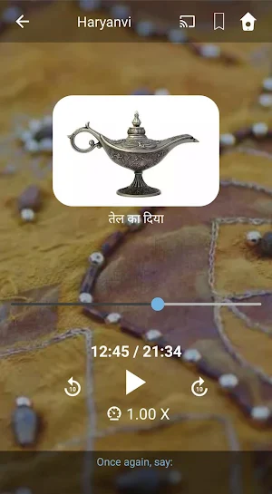 Learn Haryanvi. Speak Haryanvi. Study Haryanvi. Screenshot 3