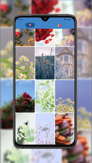Floral Bliss Screenshot 0