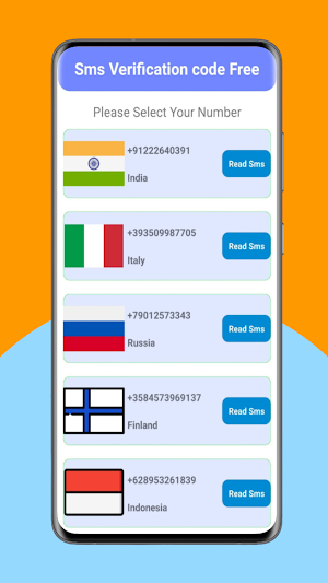 Virtual  Phone Number sms Screenshot 2