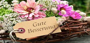Gute Besserung Screenshot 3