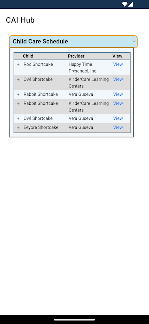 CAI Hub Screenshot 2