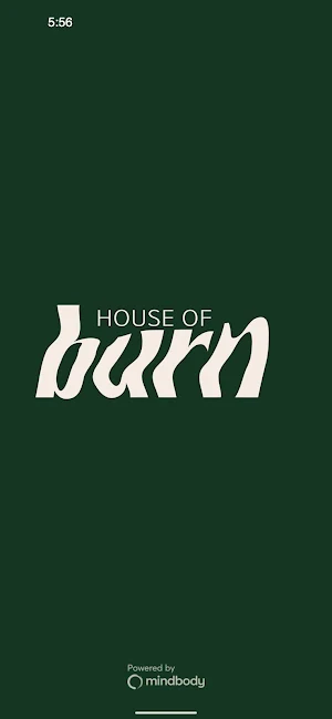 House of Burn Screenshot 0
