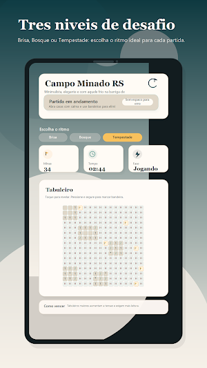Campo minado RS Screenshot 1