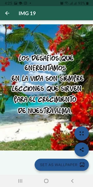 Frases sabias e inspiradoras Screenshot 1