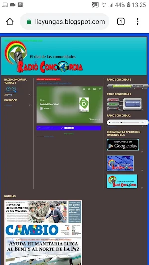 RADIO CONCORDIA ARAPATA Screenshot 1
