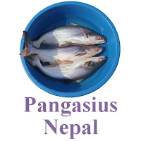 Pangasius Nepal