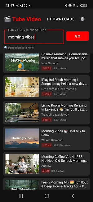 Tube Video Mp3 Downloader Screenshot 2