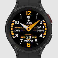 IWF Classic Master watch face