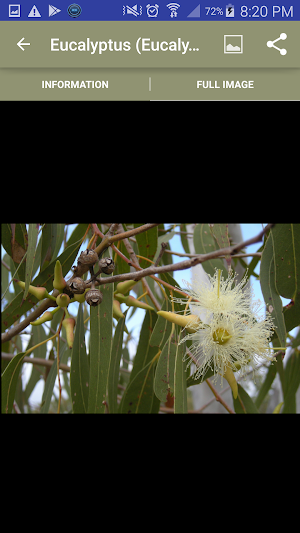 Medicinal Plants Paid Screenshot 3