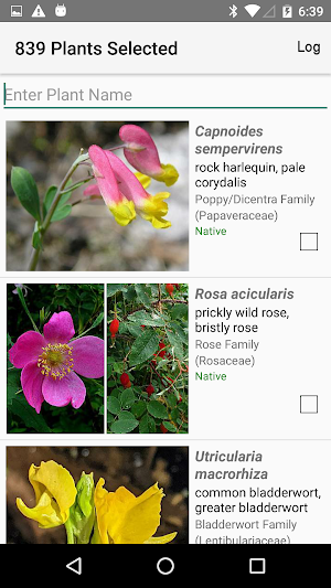NT Wildflowers Screenshot 3