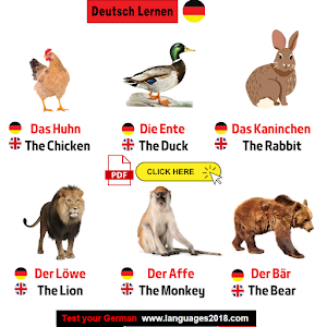 Deutsch Lernen - Learn German Screenshot 2