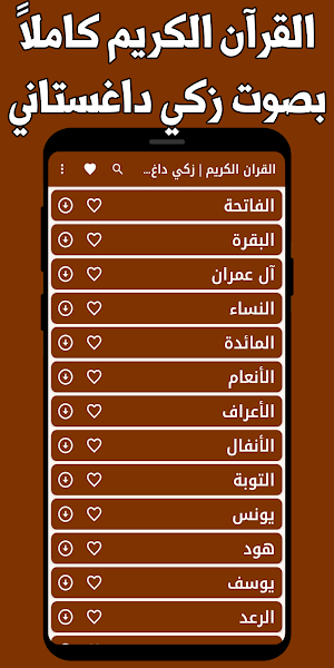 قران كامل زكي داغستاني بدون نت Screenshot 0