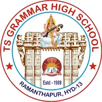TS Grammar High School