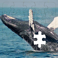 Rompecabezas de Ballenas