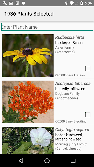 Indiana Wildflowers Screenshot 1