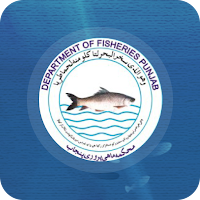 FMIS Official