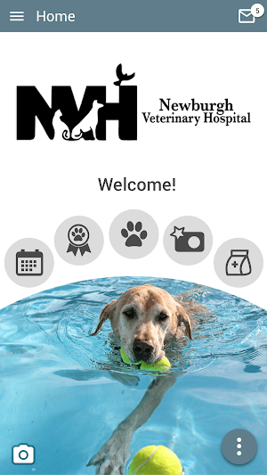 NewburghVet Screenshot 0